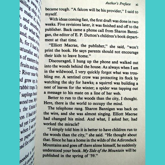 Book: My Side of the Mountain, written & illustrated by Jean Craighead George - Picture 10 of 15